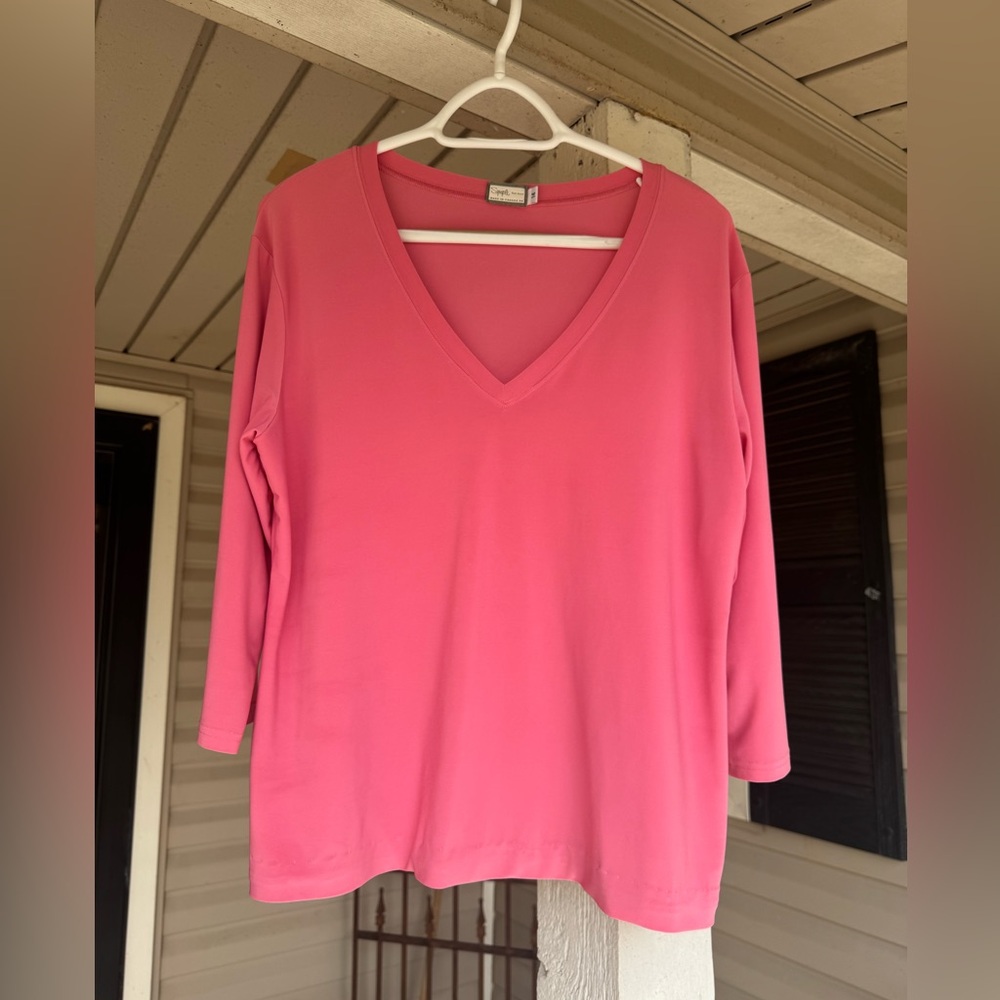 Pink V neck top.
